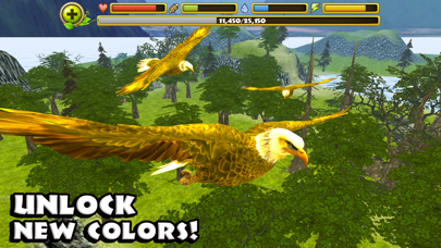 Eagle Simulator