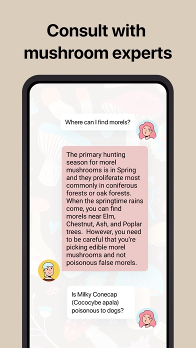 Picture Mushroom: Fungi finder