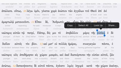 Interlinear Bible