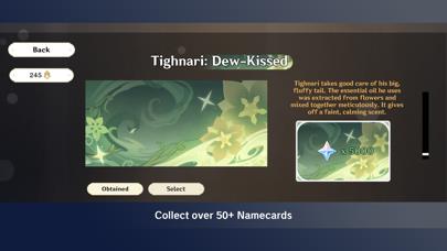 Wish Simulator for GI