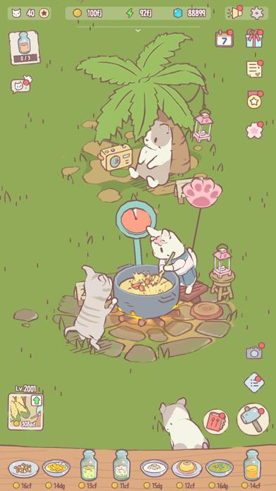 Cats & Soup