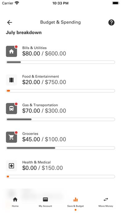 Money Network Mobile App