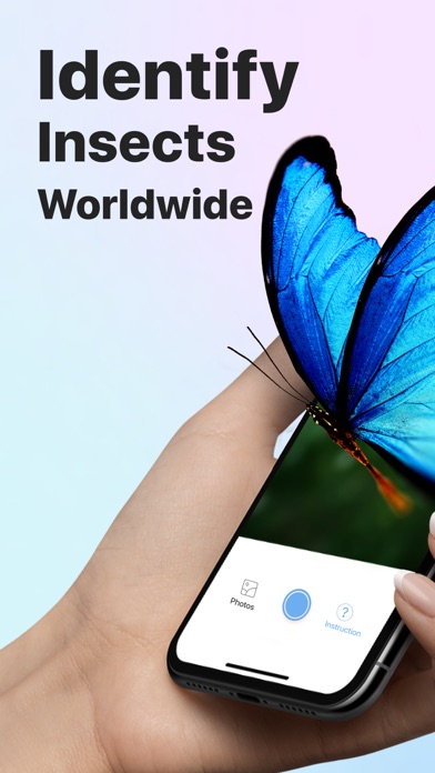 Picture Insect: Bug Identifier