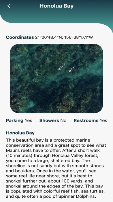 Maui Snorkeling Guide