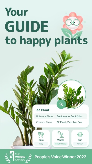 Blossom - Plant Care Guide