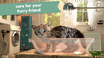 Little Kitten Adventure Match