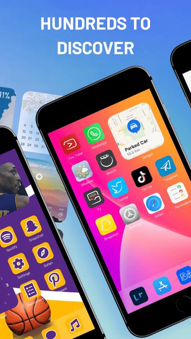 Fancy Widgets & Themes