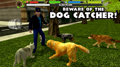 Stray Dog Simulator