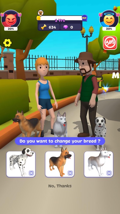 Dog Life Simulator !