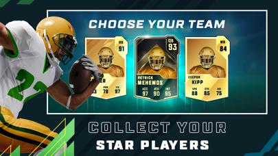 Football Head Coach 23 (FHC)