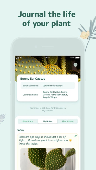 Blossom - Plant Care Guide