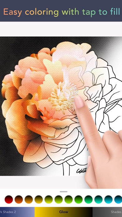 Color Therapy Coloring Number