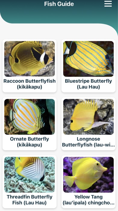 Maui Snorkeling Guide