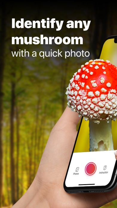 Picture Mushroom: Fungi finder
