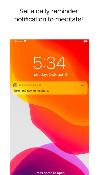 Passion & Purpose Meditations