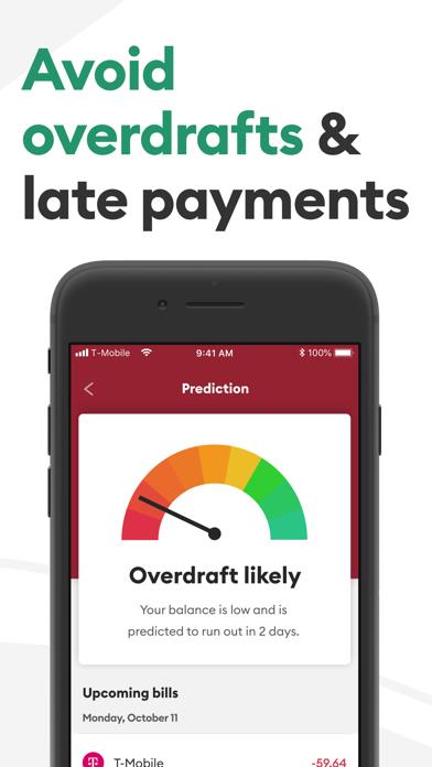 Brigit: Get $250 Cash Advance