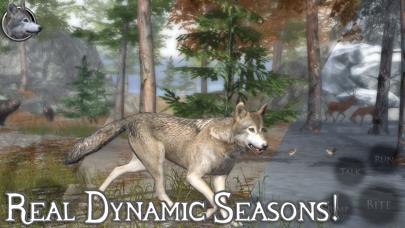 Ultimate Wolf Simulator 2