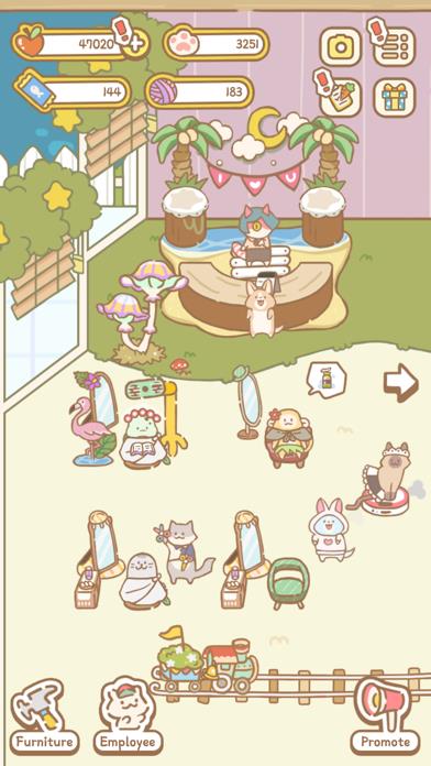 Cat Spa