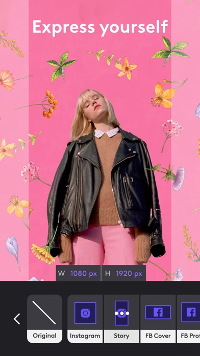 Photoleap: AI Art Photo Editor