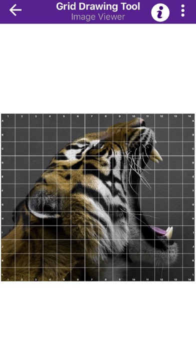 Grid Drawing Tool for Artists