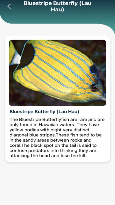 Maui Snorkeling Guide