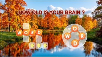 Word Calm - crossword puzzle