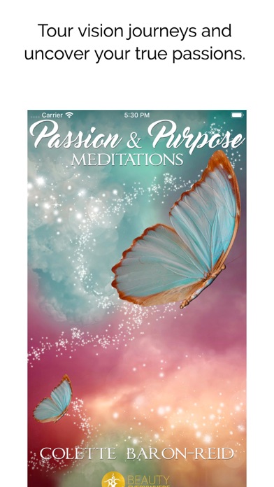 Passion & Purpose Meditations