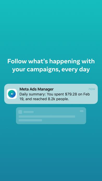 Meta Ads Manager