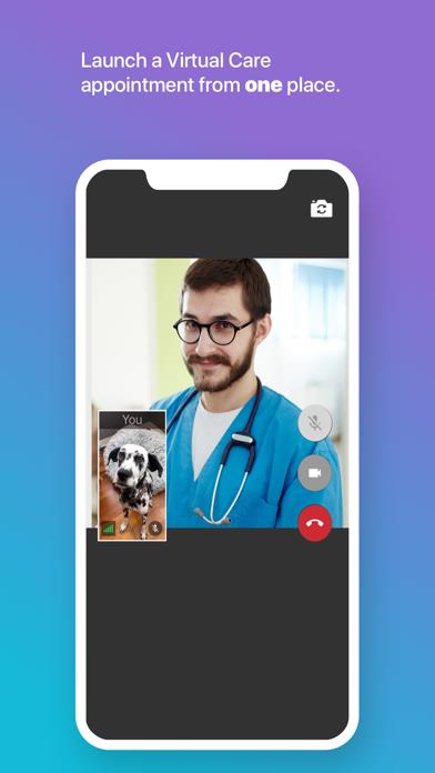 PetDesk