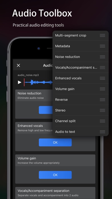 Audio Editor - Music editor