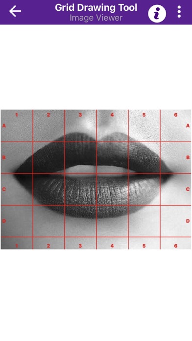 Grid Drawing Tool for Artists