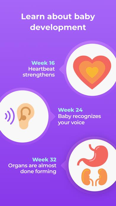 Pregnancy & Baby Tracker