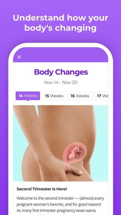 Pregnancy & Baby Tracker