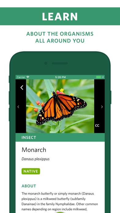 Seek by iNaturalist