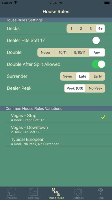 BlackJack 101 Pro Perfect Play