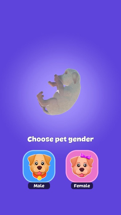 Dog Life Simulator !