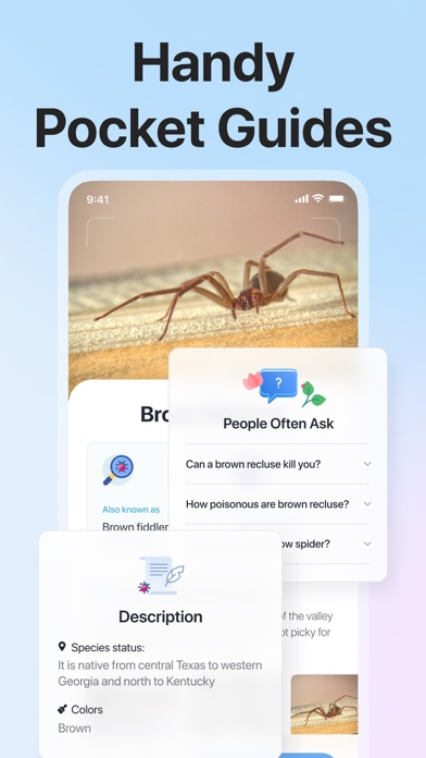 Picture Insect: Bug Identifier