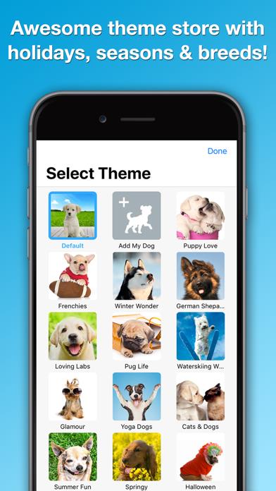 Weather Puppy Forecast + Radar