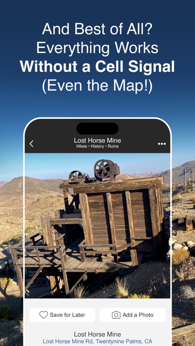 Joshua Tree by Fotospot