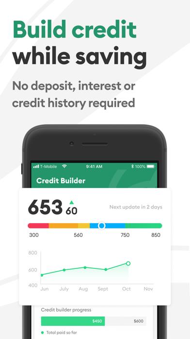 Brigit: Get $250 Cash Advance