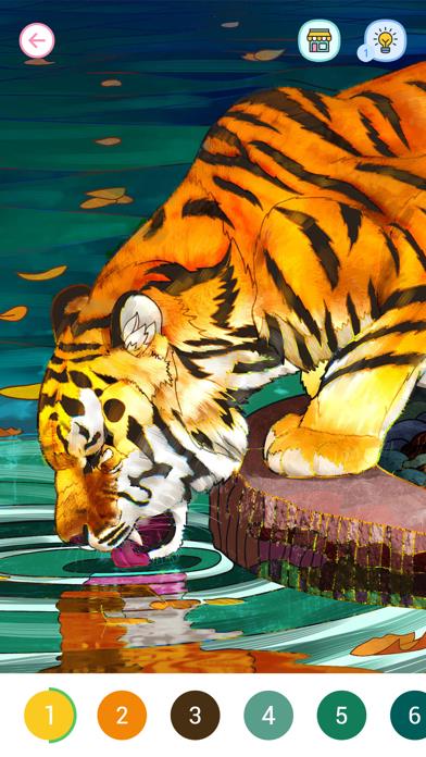 Coloring Book! Paint by Number