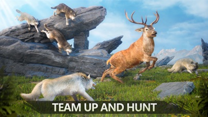 Wolf Game: Wild Animal Wars
