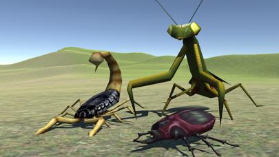 Bug Battle 3D