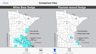 Minnesota Wildflowers Info.