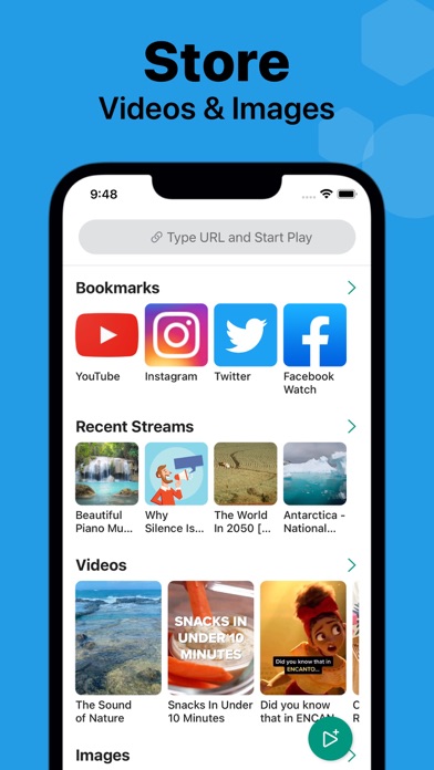 Any Video Saver