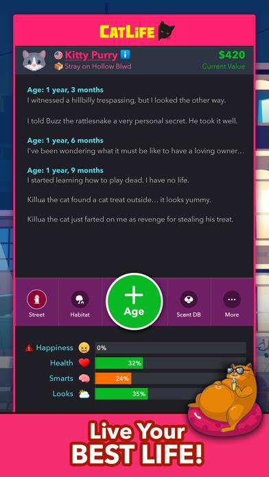 BitLife Cats - CatLife