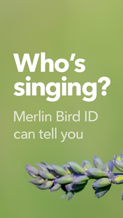 Merlin Bird ID by Cornell Lab
