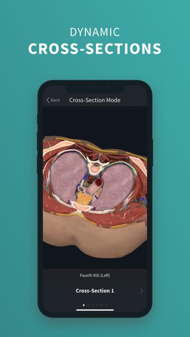 Complete Anatomy ‘23