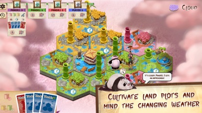 Takenoko: the Board Game