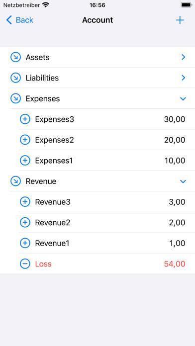 Double-Entry Bookkeeping